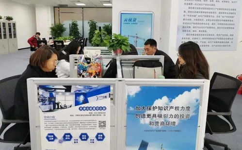 生態城 建設知識產權保護新高地，服務先行，創新驅動