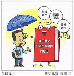 金華出臺知識產權新政，企業可享多項優惠政策與服務支持